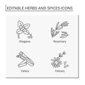 Herbs and spices line icons set