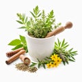 Herbs and spices in mortar and pestle on white background Royalty Free Stock Photo