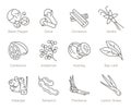 Herbs and spices outline icon set Royalty Free Stock Photo