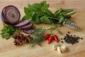 Herbs and spices - parsley, onion, chilly, anise, garlic