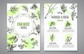 Herbs and spices posters. Herb, plant, spice hand drawn banners, menu elements. Organic garden herbs engraving