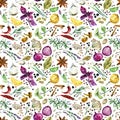 Herbs and spices seamless pattern. watercolor botanical illustration