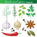 Herbs and spices set