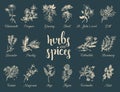 Herbs and spices set. Hand drawn officinalis, medicinal, cosmetic plants. Botanical illustrations for tags. cards etc. Royalty Free Stock Photo