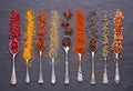 Herbs and spices in silver spoons on black stone background