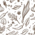 Herbs and spices sketch seamless pattern cooking seasoning