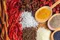 Herbs And Spices. Royalty Free Stock Photo