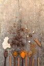 Herbs and spices on a wooden board. Spice spoon. Royalty Free Stock Photo