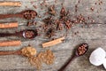 Herbs and spices on a wooden board. Spice spoon. Royalty Free Stock Photo