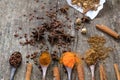 Herbs and spices on a wooden board. Spice spoon. Royalty Free Stock Photo