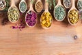 Herbs on spoons on a wooden background with copy space Royalty Free Stock Photo