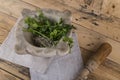 Herbs in stone mortar with wooden pestle Royalty Free Stock Photo