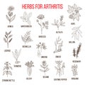 Herbs to fight arthritis boswellia, willow, celery, ginger, arnica, wintergreen, andelica, alfalfa, hop, licorice