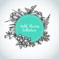 Herbs and wild flowers background Vintage collection of Plants Vector illustrations in sketch style