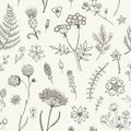 Herbs and Wild Flowers. Botany pattern