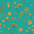 Herbs and Wild Flowers. Botany pattern