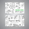 Herbs and Wild Flowers. Hand drawn herbal design with spices, medicinal, cosmetic plants. Illustration for advertising