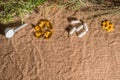 Herbs and wild flowers, pills and natural medicines Royalty Free Stock Photo