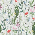 Herbs and Wild Flowers vector seamless pattern