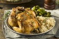 Herby Baked Cornish Game Hens Royalty Free Stock Photo