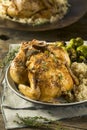 Herby Baked Cornish Game Hens Royalty Free Stock Photo