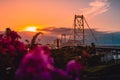 Hercilio luz cable stayed bridge with sunset tones and flowers in Florianopolis