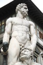 Hercule and Cacus in Florence