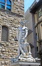 Hercules and Cacus,Florence,Italy