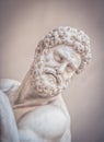 Hercules and Nessus by Giambologna Royalty Free Stock Photo