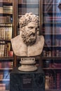 Hercules Roman Bust, The British Museum, London