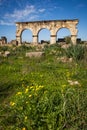 Hercules Works House, Volubilis