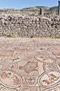 Hercules Works House at Volubilis, Morocco