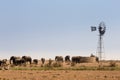 Herd of African Elephants at man-made Water Hole, Kruger Park, South Africa