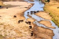 Herd of african elephants at the Tarangire river in Tarangire National Park, Tanzania Royalty Free Stock Photo