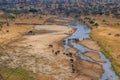 Herd of african elephants at the Tarangire river in Tarangire National Park, Tanzania Royalty Free Stock Photo