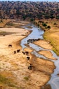 Herd of african elephants at the Tarangire river in Tarangire National Park, Tanzania. View from above Royalty Free Stock Photo