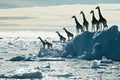 A herd of african giraffes on a floating iceberg in the middle of the ocean Generative AI