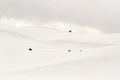 Bison on snowy hillside in Yellowstone National Park, Wyoming in Royalty Free Stock Photo