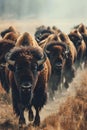 herd of bison on the open plains, in the style of aggressive digital illustration, dusty piles