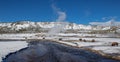 Herd of Bison at River In Yellowstone National Park in Winter, Wyoming