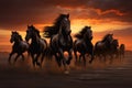 Herd of black horses galloping on the beach at sunset Royalty Free Stock Photo