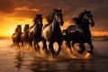 Herd of black horses galloping on the beach at sunset Royalty Free Stock Photo