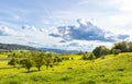 A herd of cows graze on a hill with a meadow and trees in a rural valley with farms against a cloudy sky Royalty Free Stock Photo