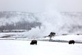 Herd buffalo in Yellowstone NP