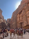Herd of camels standing in front of the the Treasury in Petra