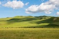 A herd of cattle grazing in sun-dappled lush green grasslands and rolling hills under a beautiful blue sky with puffy white clouds