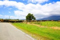 Herd of cows crossing the road in Fox Glacier, New Zealand Royalty Free Stock Photo