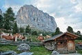 Herd of cows in the dolomites