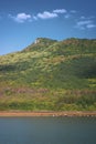 A herd of cows drinking by a lake under a mountain in a sunny day. Concept: Calmness and nature