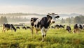 A herd of cows in an early autumn landscape. Generative AI